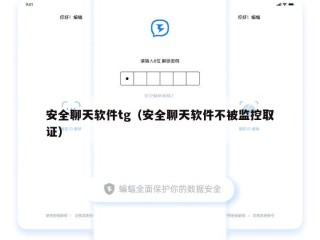 安全聊天软件tg（安全聊天软件不被监控取证）