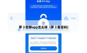萝卜密聊app怎么样（萝卜蜜百科）