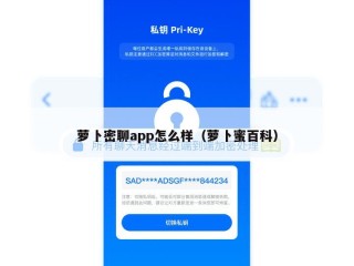 萝卜密聊app怎么样（萝卜蜜百科）