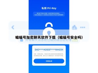 蝙蝠号加密聊天软件下载（蝙蝠号安全吗）