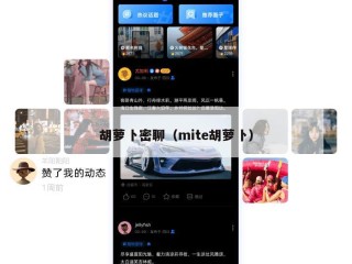 胡萝卜密聊（mite胡萝卜）