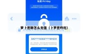 萝卜密聊怎么充值（卜罗密咋吃）