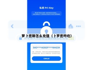 萝卜密聊怎么充值（卜罗密咋吃）