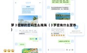 萝卜密聊的密码怎么珠海（卜罗密有什么营养）