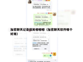 加密聊天记录搞笑嘟嘟嘟（加密聊天软件哪个好用）
