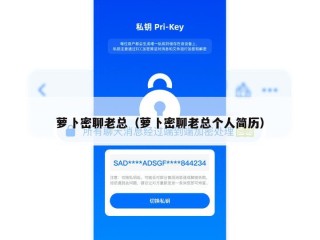 萝卜密聊老总（萝卜密聊老总个人简历）