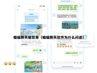 蝙蝠聊天被禁用（蝙蝠聊天软件为什么闪退）
