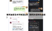 聊天加密艺术字体怎么弄（聊天内容如何加密）