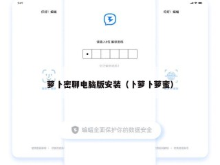 萝卜密聊电脑版安装（卜萝卜萝蜜）