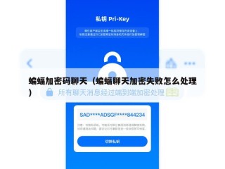 蝙蝠加密码聊天（蝙蝠聊天加密失败怎么处理）