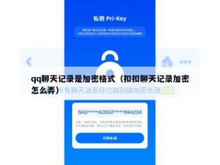 qq聊天记录是加密格式（扣扣聊天记录加密怎么弄）