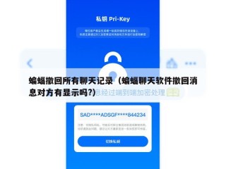 蝙蝠撤回所有聊天记录（蝙蝠聊天软件撤回消息对方有显示吗?）