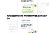 蝙蝠加密聊天气泡（蝙蝠聊天软件怎么设置头像）
