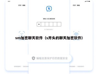 sm加密聊天软件（s开头的聊天加密软件）