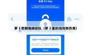 萝卜密聊锦绣团队（萝卜蜜的功效和作用）