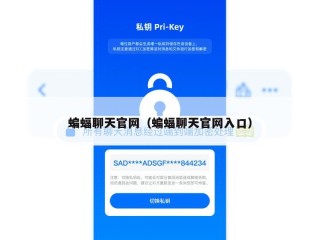 蝙蝠聊天官网（蝙蝠聊天官网入口）