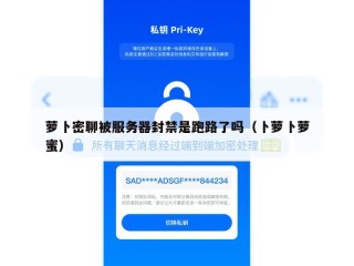 萝卜密聊被服务器封禁是跑路了吗（卜萝卜萝蜜）