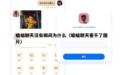 蝙蝠聊天没有瞬间为什么（蝙蝠聊天看不了图片）