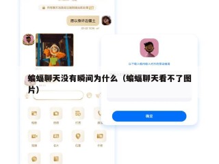 蝙蝠聊天没有瞬间为什么（蝙蝠聊天看不了图片）