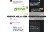 蝙蝠聊天文件怎么打开（蝙蝠聊天使用说明）