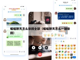 蝙蝠聊天怎么撤回全部（蝙蝠聊天怎么一键撤回）