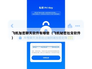 飞机加密聊天软件有哪些（飞机秘密社交软件）