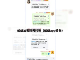 蝙蝠加密聊天转账（蝙蝠app转账）