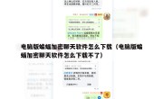 电脑版蝙蝠加密聊天软件怎么下载（电脑版蝙蝠加密聊天软件怎么下载不了）