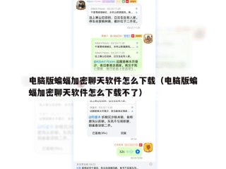 电脑版蝙蝠加密聊天软件怎么下载（电脑版蝙蝠加密聊天软件怎么下载不了）