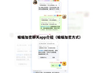 蝙蝠加密聊天app介绍（蝙蝠加密方式）