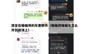 想坐在蝙蝠侠的车里聊天（蝙蝠侠蝙蝠车怎么开到房顶上）