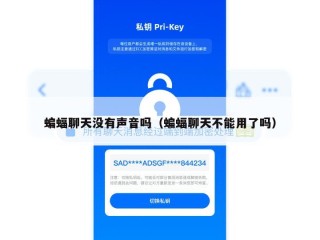 蝙蝠聊天没有声音吗（蝙蝠聊天不能用了吗）