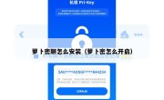 萝卜密聊怎么安装（萝卜密怎么开启）