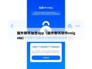 国外聊天加密app（国外聊天软件enigma）