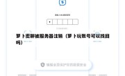 萝卜密聊被服务器注销（萝卜玩账号可以找回吗）