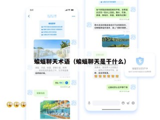 蝙蝠聊天术语（蝙蝠聊天是干什么）