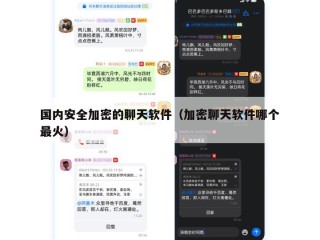 国内安全加密的聊天软件（加密聊天软件哪个最火）