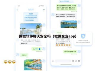 微微软件聊天安全吗（微微交友app）