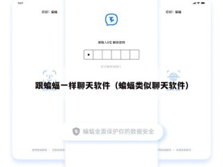 跟蝙蝠一样聊天软件（蝙蝠类似聊天软件）
