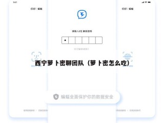 西宁萝卜密聊团队（萝卜密怎么吃）