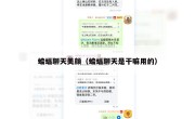 蝙蝠聊天美颜（蝙蝠聊天是干嘛用的）