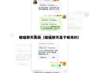蝙蝠聊天美颜（蝙蝠聊天是干嘛用的）