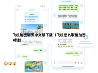 飞机加密聊天中文版下载（飞机怎么取消加密对话）