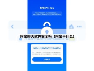 阿宝聊天软件安全吗（阿宝干什么）