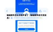 蝙蝠聊天怎么没有声音了（蝙蝠聊天收不到消息）