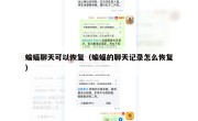 蝙蝠聊天可以恢复（蝙蝠的聊天记录怎么恢复）