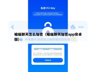 蝙蝠聊天怎么加密（蝙蝠聊天加密app安卓版）