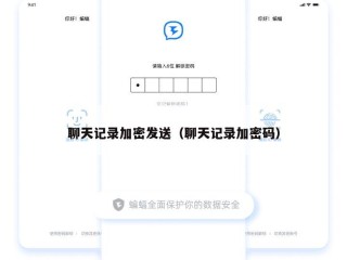 聊天记录加密发送（聊天记录加密码）
