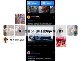 萝卜密聊pc（萝卜密聊pc端下载）