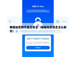 蝙蝠加密聊天是否安全（蝙蝠加密消息怎么解开）